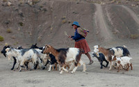 Bolivia