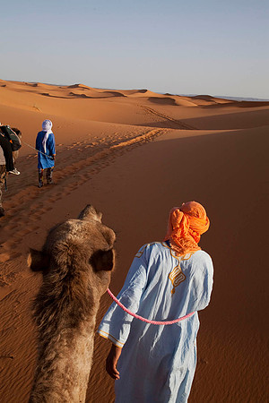 Sahara Desert Morocco