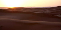 Sahara Desert Morocco