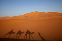 Sahara Desert Morocco