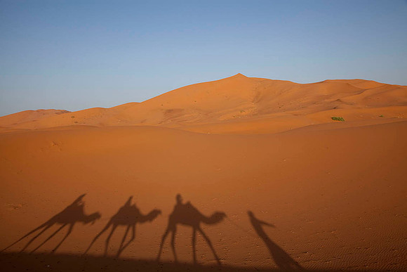 Sahara Desert Morocco