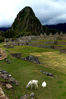 Machu Picchu, Peru