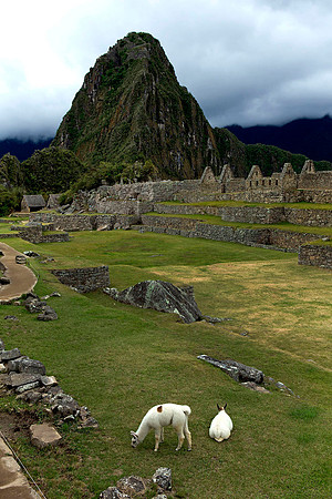 Machu Picchu, Peru