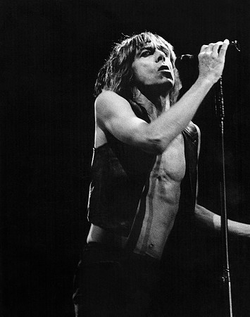 Iggy Pop